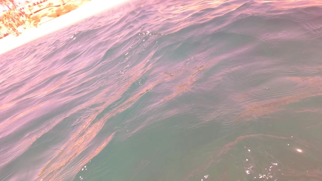 Water-level frame from San Jose del Cabo showing pink-toned ripples across green water and a bright strip of shoreline buildings along the top edge, with no visible people.