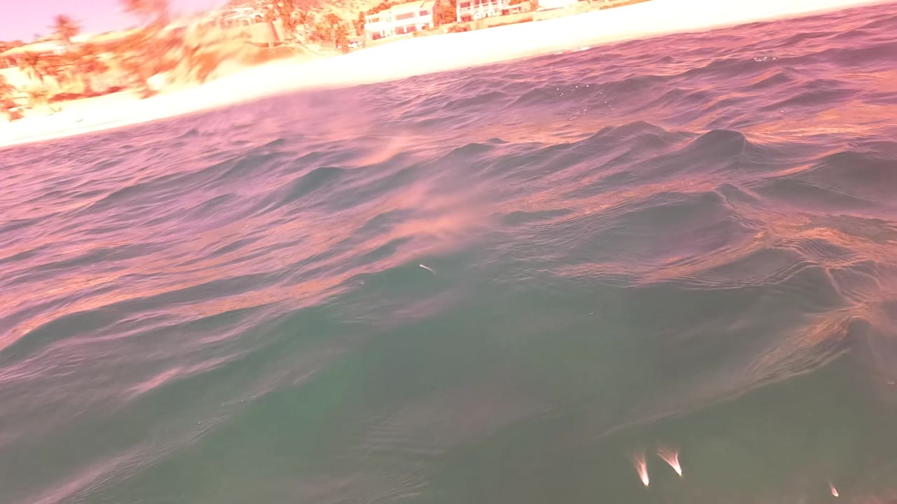 Low surface view in San Jose del Cabo where a darker wave ridge crosses the frame, pink light streaks across the water, and distant shore detail sits along the upper edge, with no visible people.