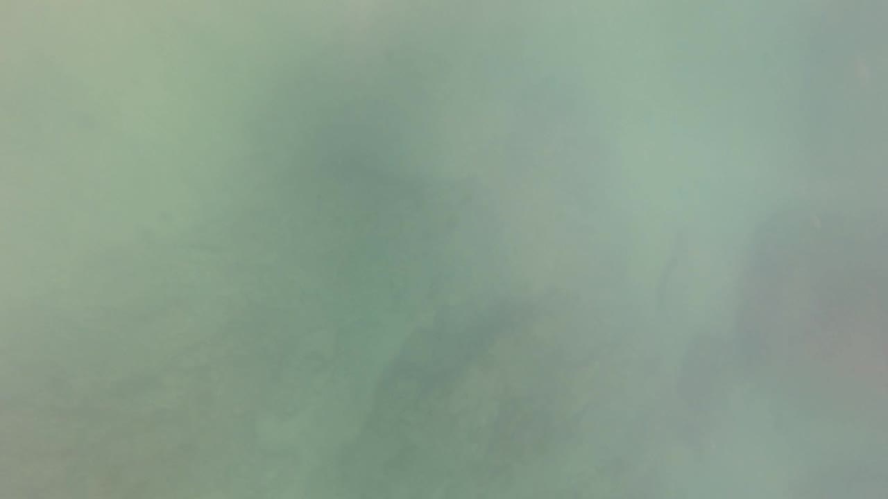 Hazy green underwater view with faint rocky seabed shapes.