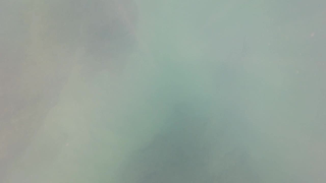 Mid-clip underwater view in San Jose del Cabo shows pale green-blue water, soft seabed tones, and indistinct rocks, with no visible people.