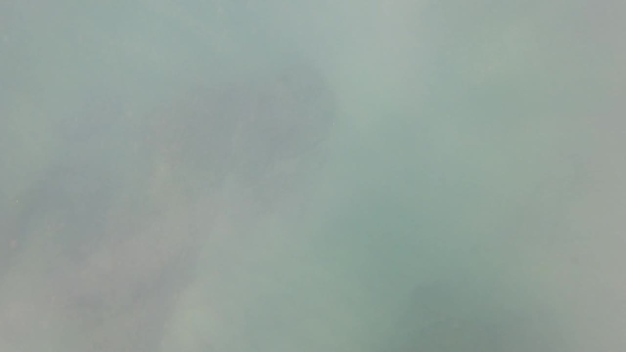 San Jose del Cabo seabed frame shows greenish water with darker rocky patches barely visible through the haze, with no visible people.