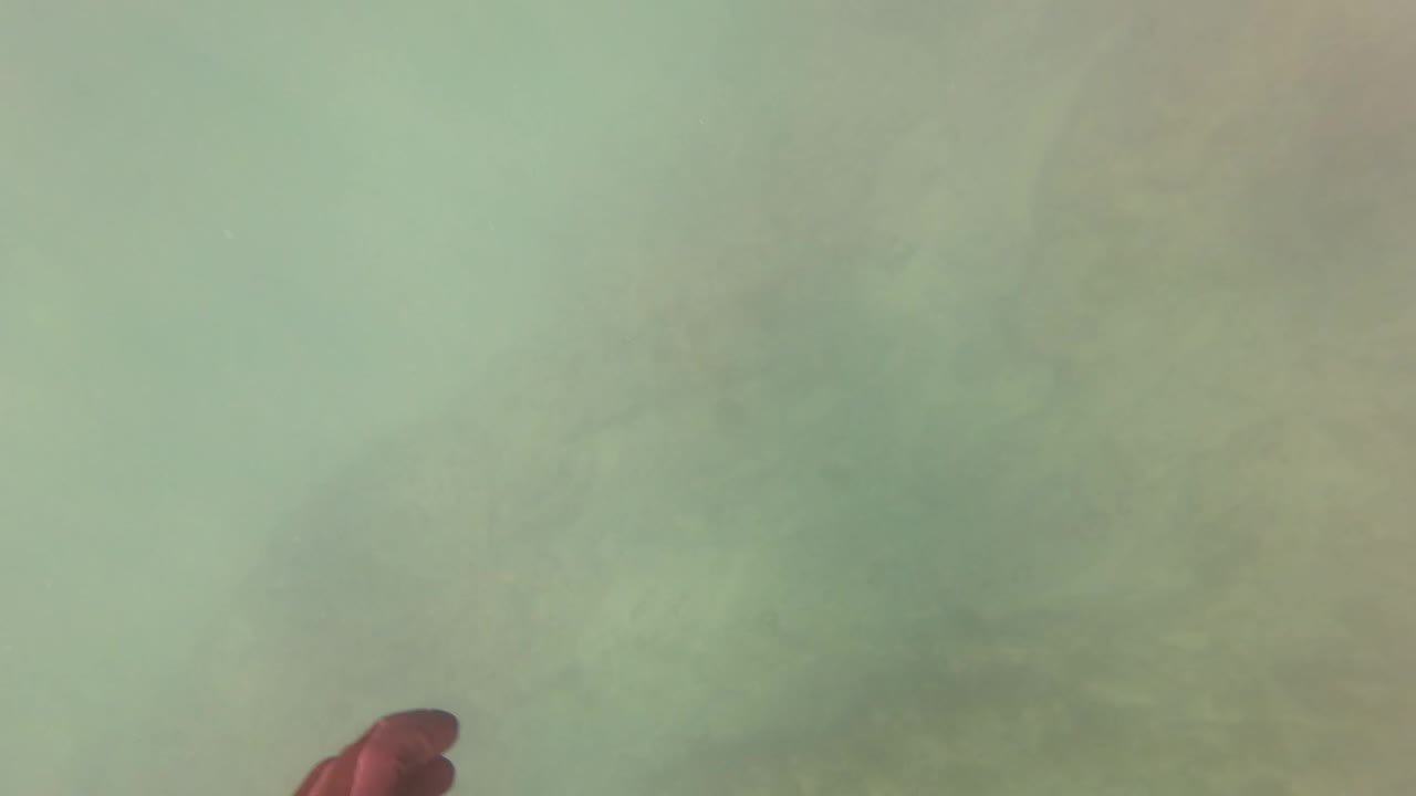 Underwater rocky seabed in San Jose Del Cabo, Baja California Sur, with pale green water, cloudy visibility, and a partial hand entering from the left edge.