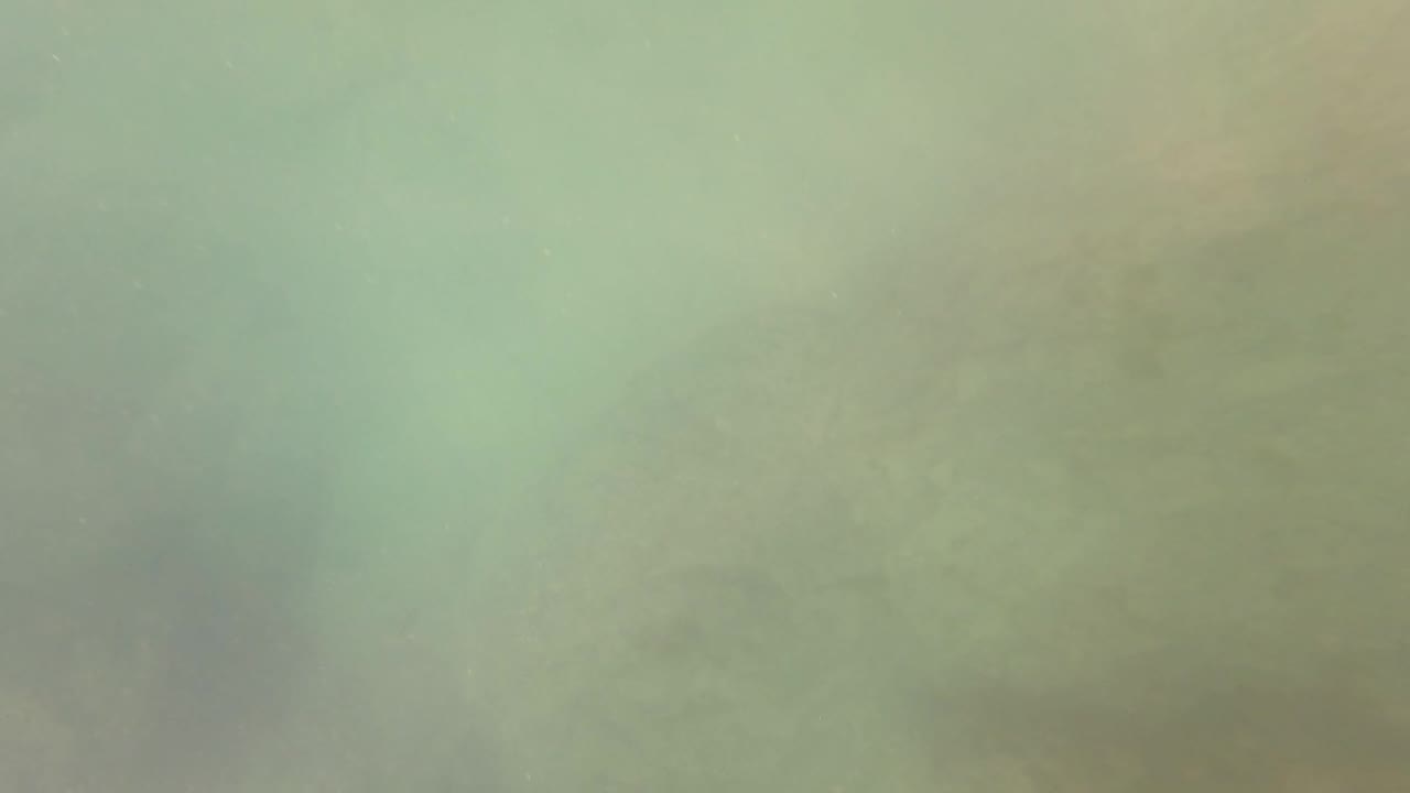 San Jose Del Cabo underwater seabed with blurred rocks visible through cloudy green water and no visible people.