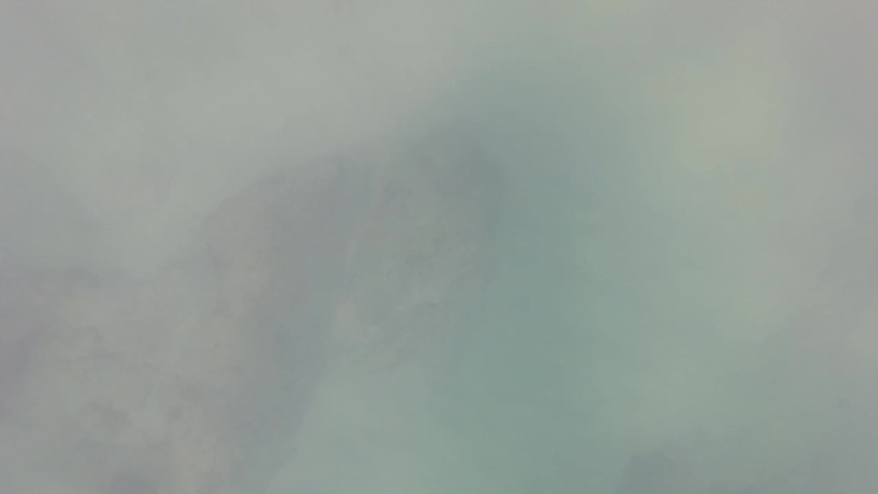 Murky green underwater frame from San Jose Del Cabo, Mexico, with a faint rock form along the left side and no visible people.