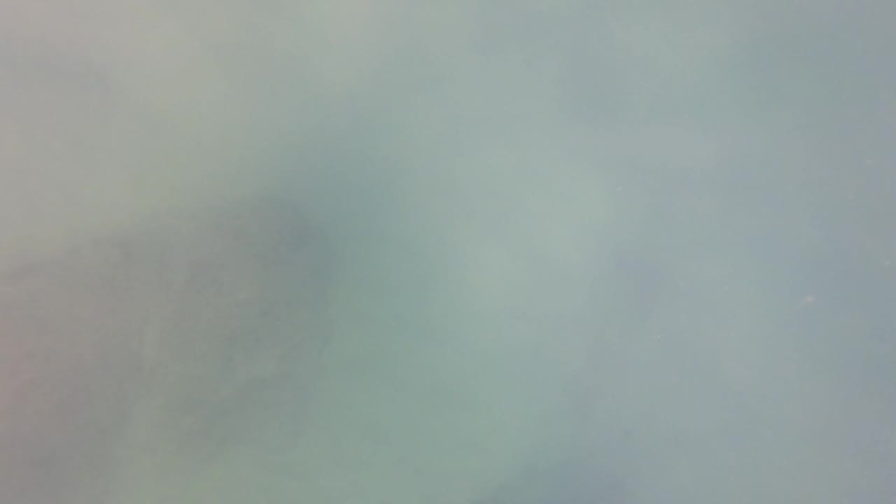 Hazy green underwater frame from San Jose Del Cabo, Mexico, with a blurred central rock mass softened by low visibility and no visible people.