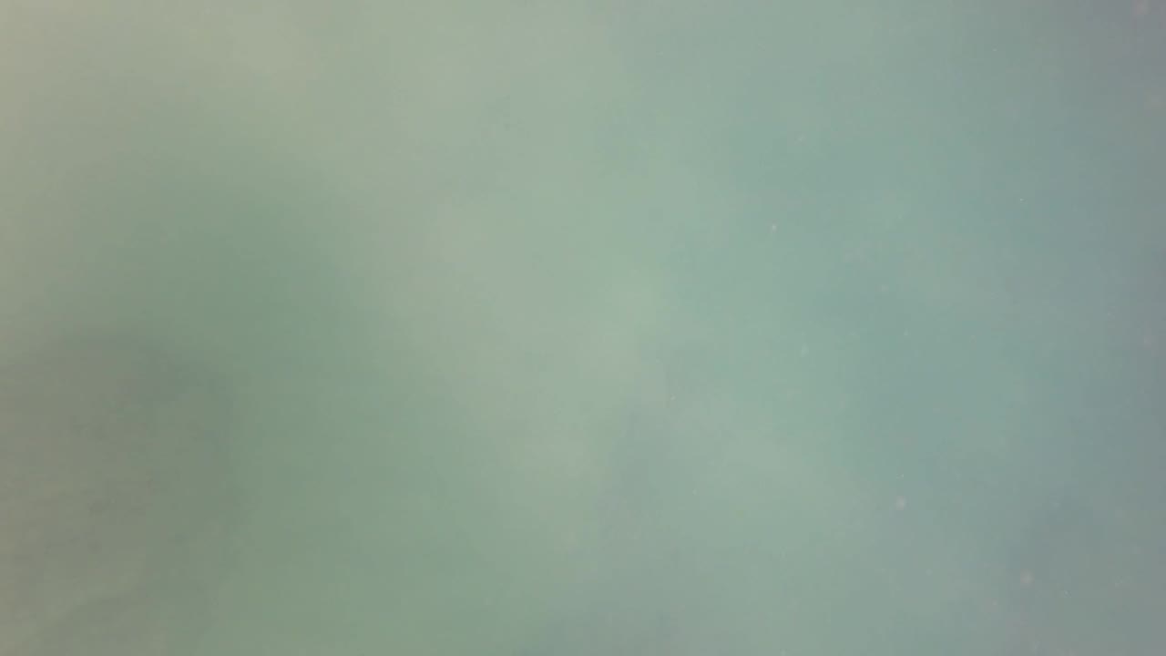 Soft green underwater frame from San Jose Del Cabo, Mexico, with darker rock shadowing near the left and lower areas and no visible people.