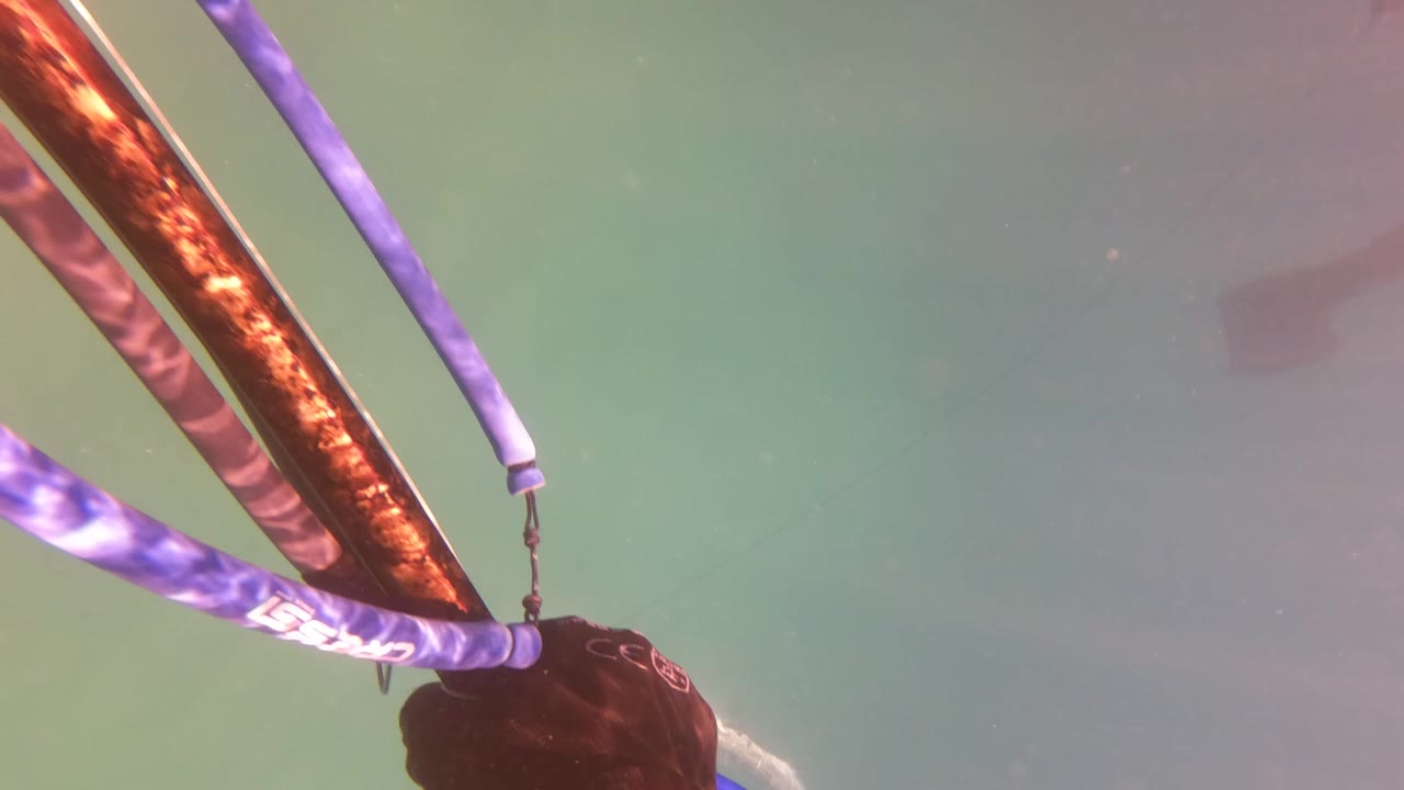 Upward underwater view in San Jose del Cabo showing purple and orange striped floating or boat-related elements near the surface, with no visible people.