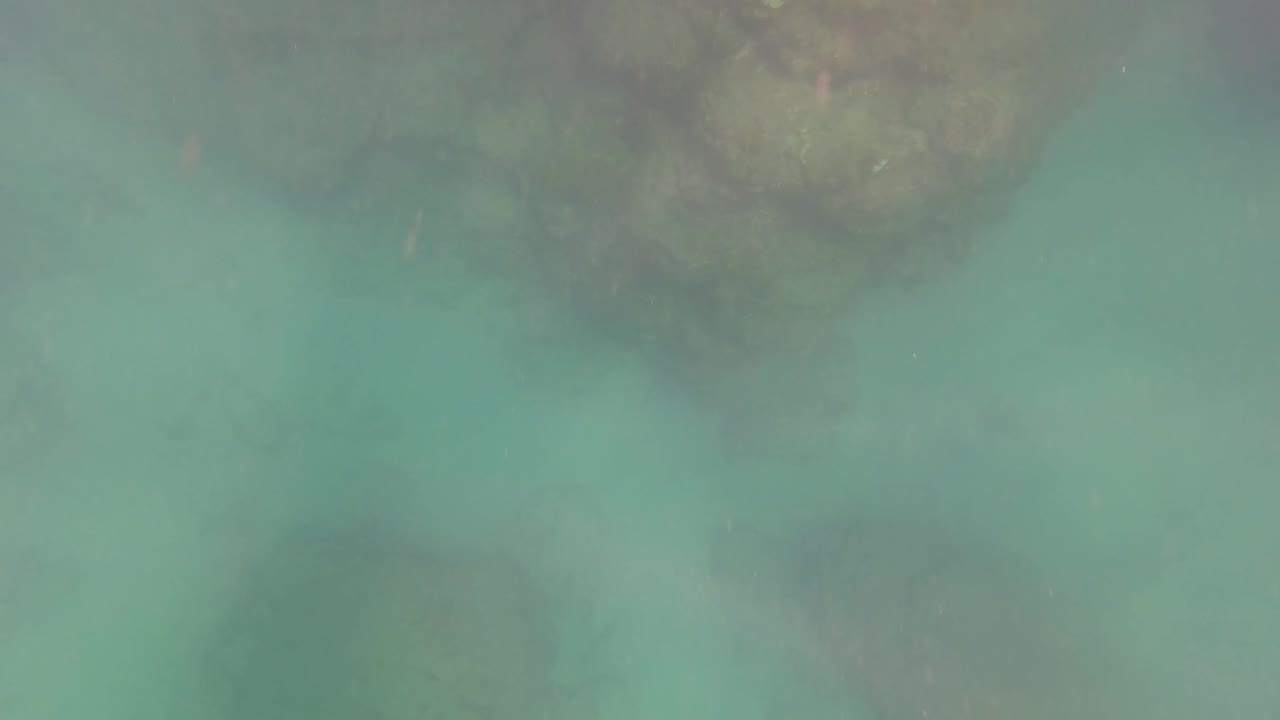Turquoise underwater scene in San Jose Del Cabo with dark rock shapes near the top of frame, cloudy sediment below, and no visible people.