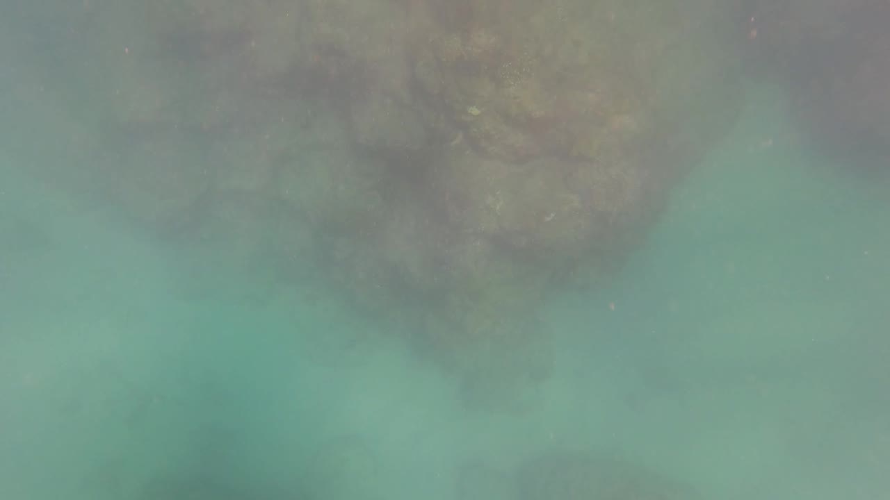 Underwater view in San Jose Del Cabo with pale turquoise water, hazy sediment, and rocky forms along the upper edge with no visible people.