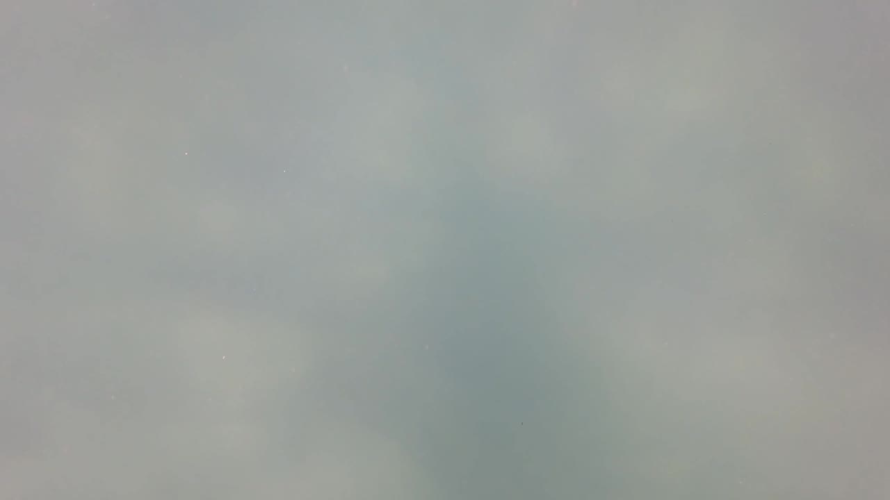 Blurred underwater frame from San Jose Del Cabo with green plant-like forms, a darker vertical area near the right edge, and no visible people.
