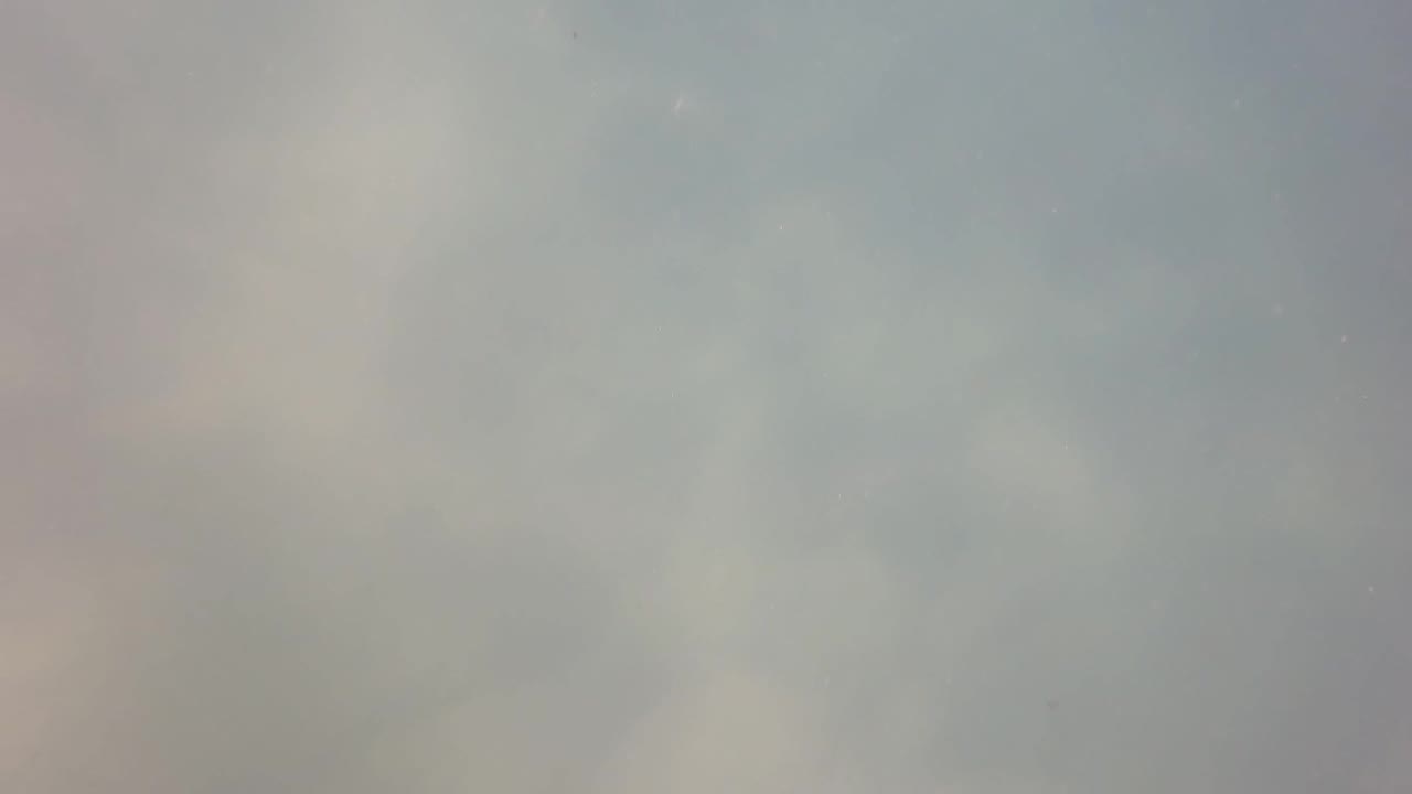 Hazy underwater view in San Jose Del Cabo, Baja California Sur, with muted green water, soft blur, faint bottom vegetation, and no visible people.