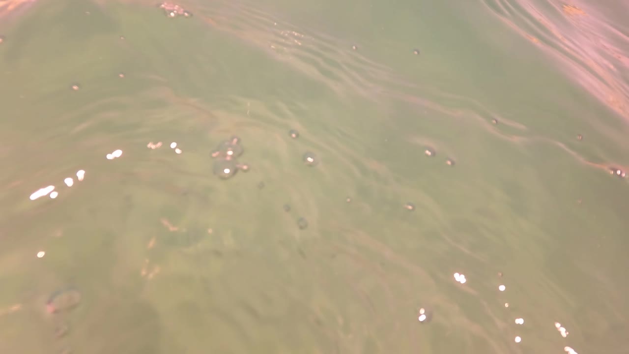 Shallow underwater surface in San Jose Del Cabo, Baja California Sur, showing green water, ripples, tiny bubbles, bright glints, and no visible people.