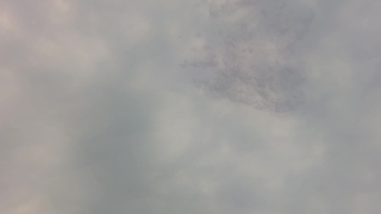 Underwater frame from San Jose del Cabo showing a faint cluster of small fish through hazy blue-gray water, with pale light and no visible people.
