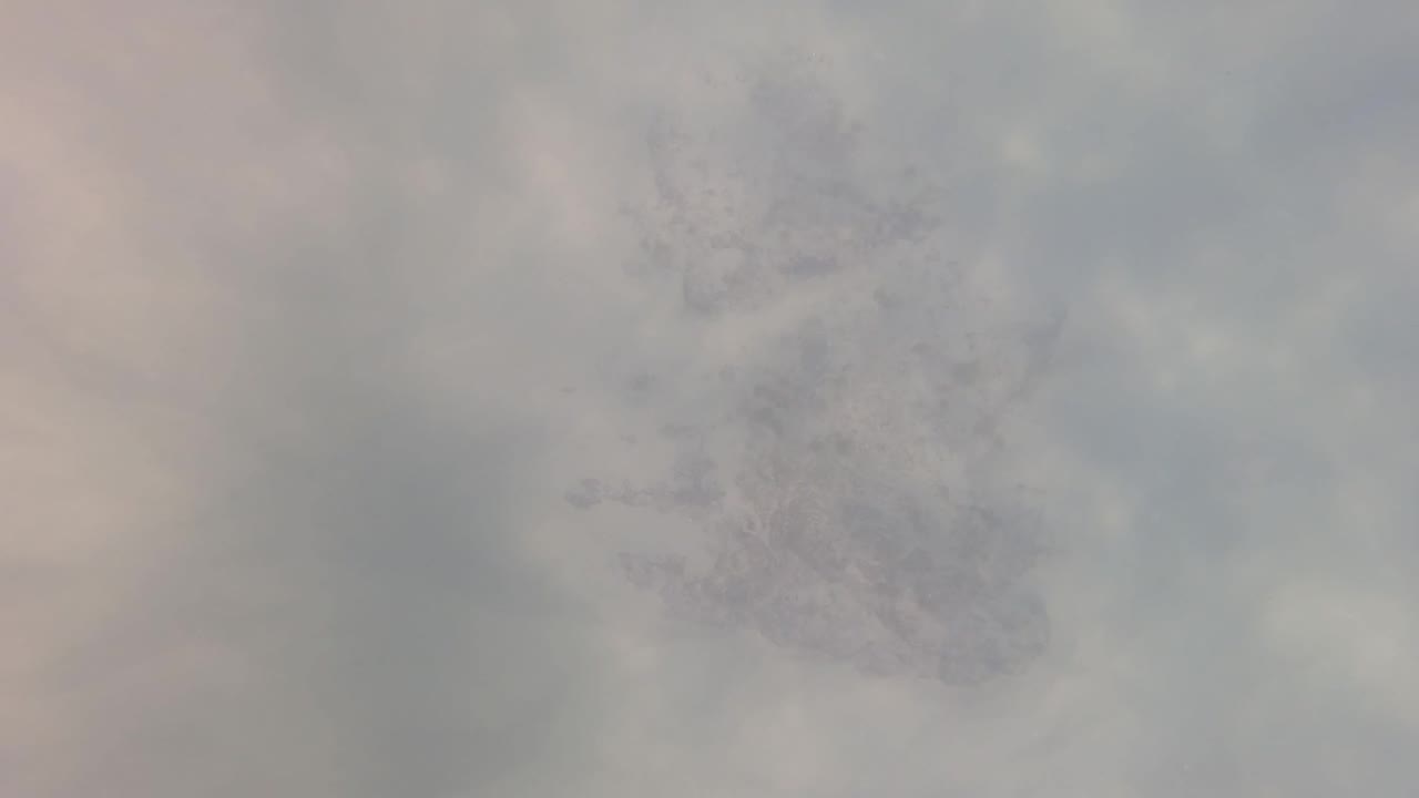 Mid-clip underwater frame from San Jose del Cabo with clouded water, dim small fish forms lower in the composition, visible particles, and no visible people.