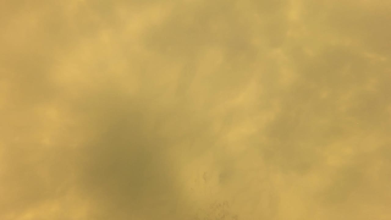 Murky yellow underwater view in San Jose Del Cabo, Baja California Sur, with soft suspended sediment and no visible people.