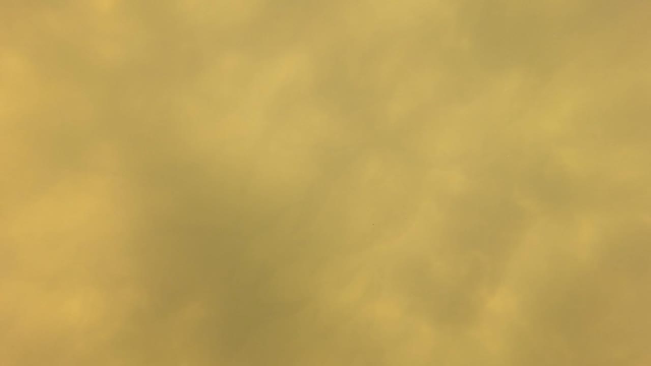 Yellow-green underwater frame from San Jose Del Cabo with diffuse murk, faint shadowing, and no visible people.