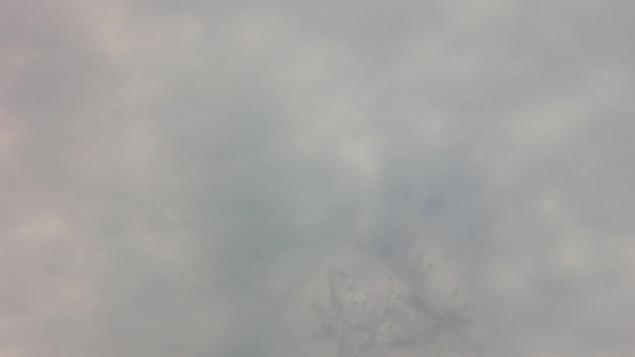 Cloudy underwater view in San Jose del Cabo, Baja California Sur, with green-gray murk filling the frame and no visible people.
