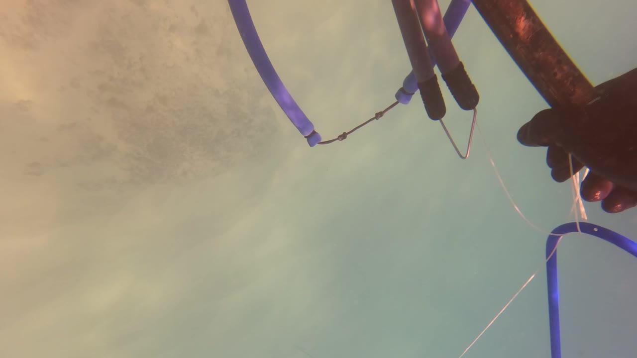An underwater angle in San Jose del Cabo shows a fishing rod, blue line, and gear crossing the upper right of the frame, with no recognizable person visible.
