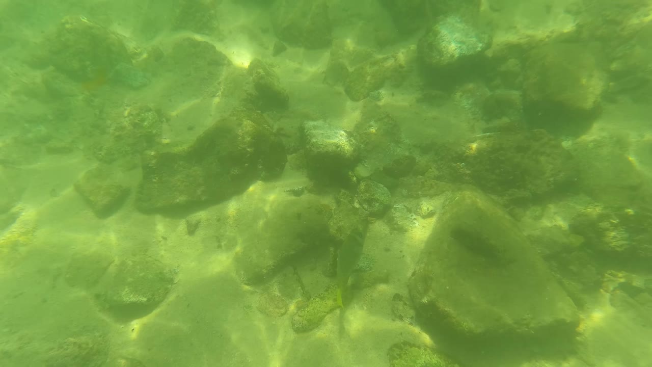 Green underwater view of rocks and pale sand on a shallow riverbed.