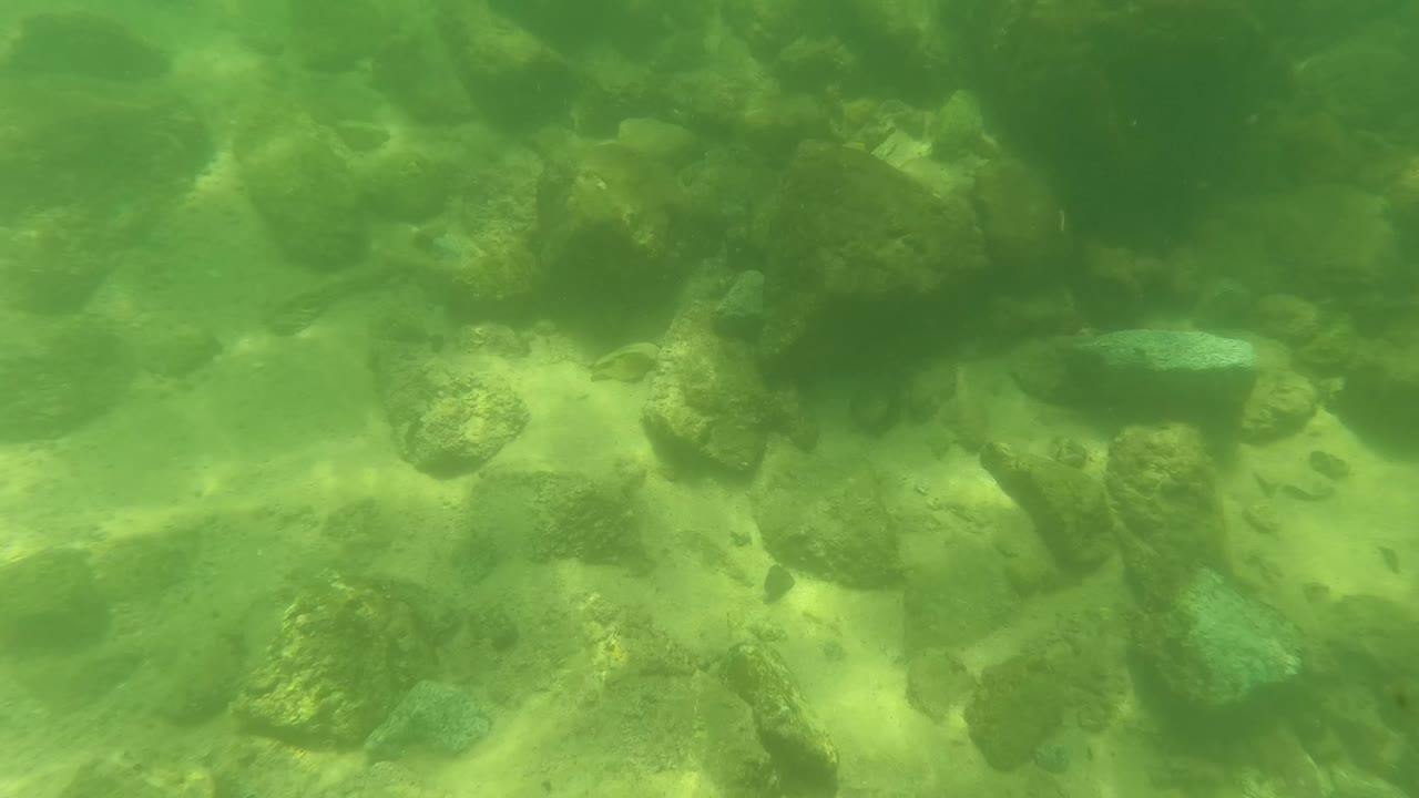 At 0:01, the underwater view moves across clustered stones and smaller pebbles under green clear water in San Jose Del Cabo, with no visible people.
