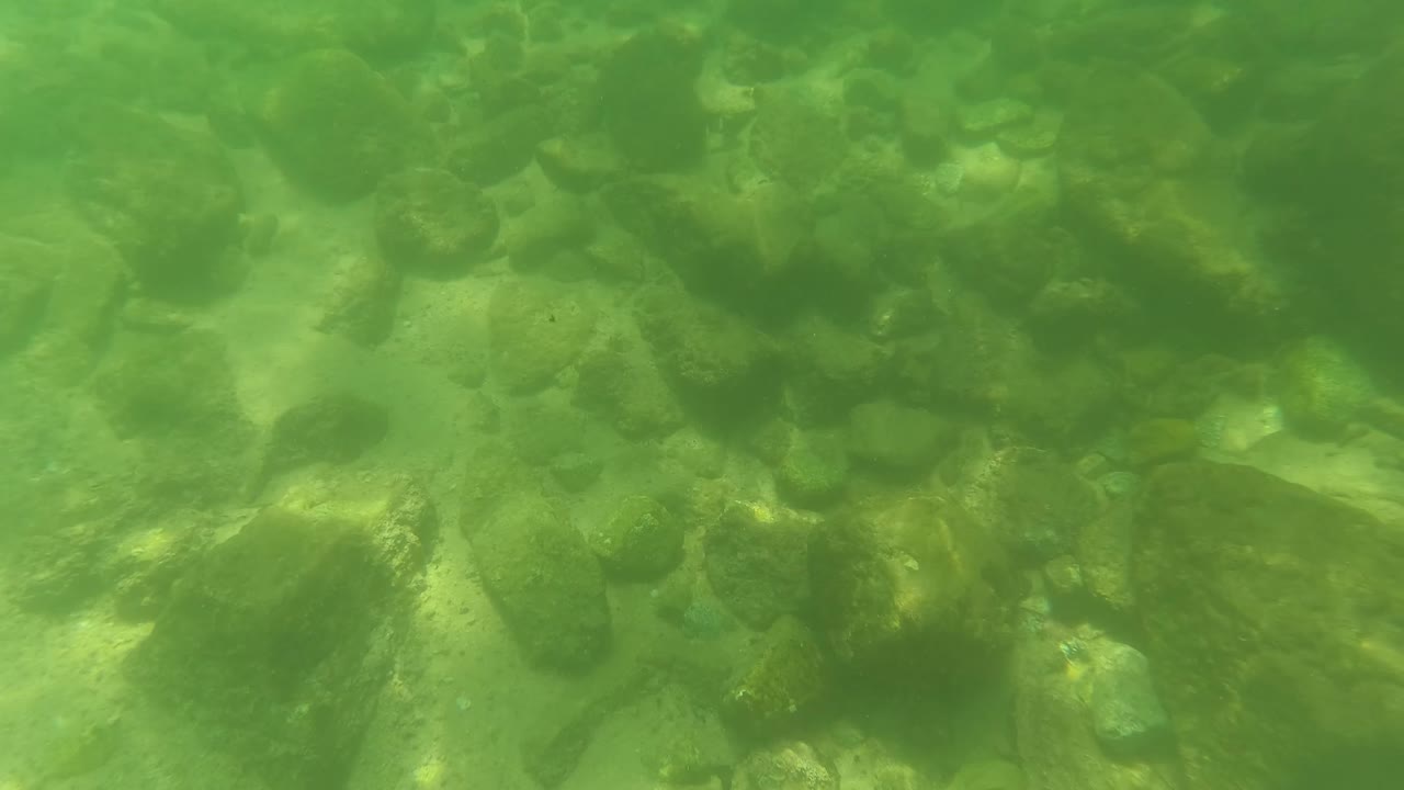 At 0:02, larger dark rocks sit among lighter sand patches beneath green water in San Jose Del Cabo, Baja California Sur, with no visible people.