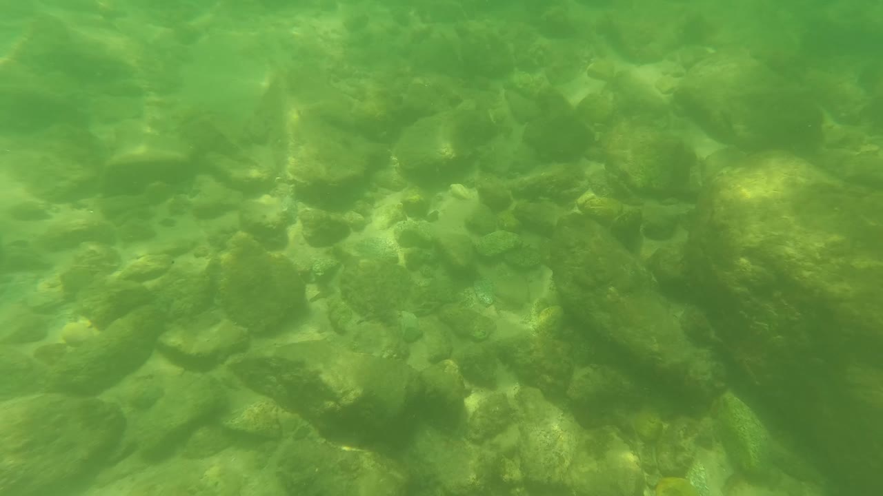 At 0:03, scattered rocks and sandy bottom remain visible through green water in San Jose Del Cabo, with no visible people or built objects.