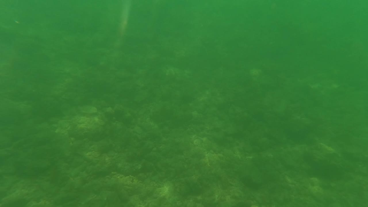 Greenish underwater visibility reveals a sandy, rocky seabed in San Jose del Cabo after the gloved hand has left the frame, no visible people.