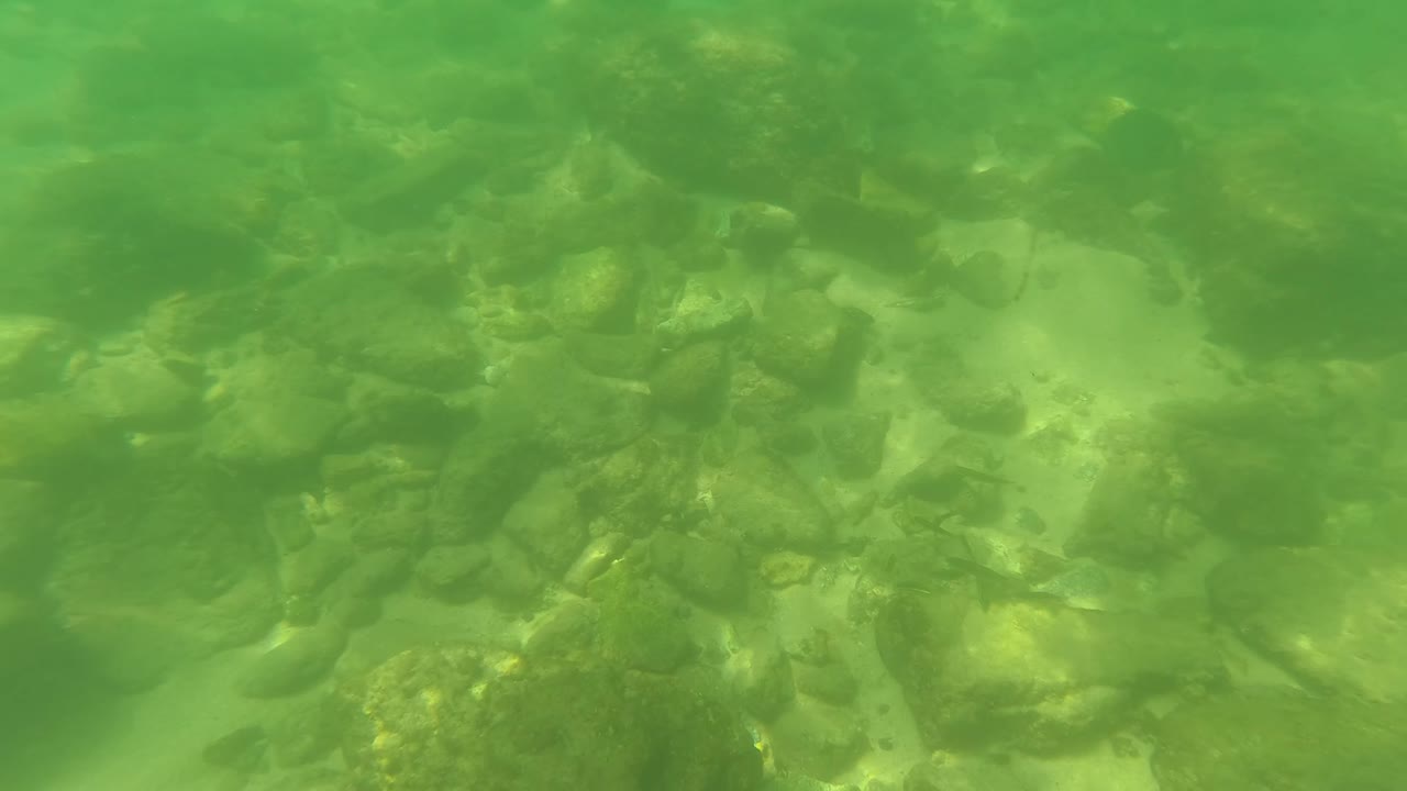 Green underwater view of rocks and pebbles on a shallow riverbed.