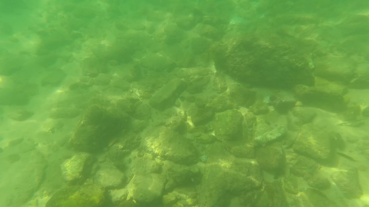 Underwater view in San Jose Del Cabo with larger stones in the midground, pale sandy patches between rocks, and no visible people.