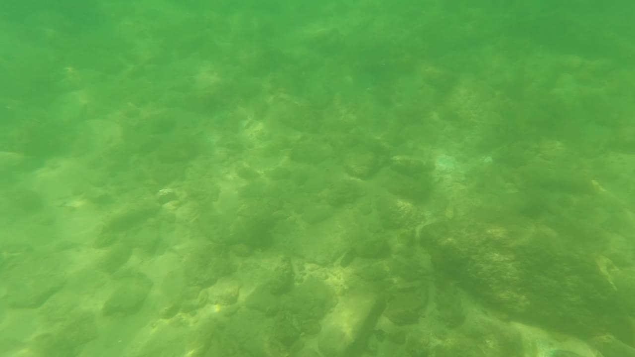 San Jose Del Cabo underwater frame with a dense cluster of smooth rocks across the center and soft sunlight patterns in green water, with no visible people.