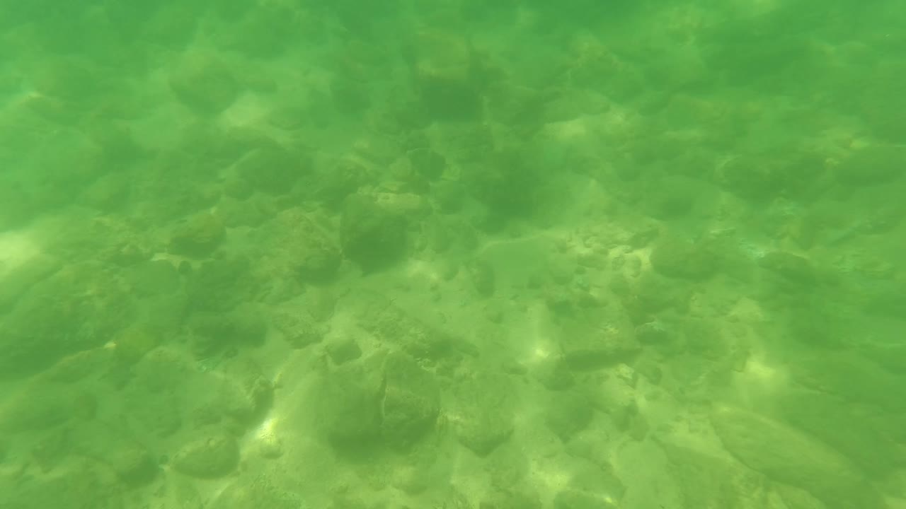 Underwater frame from San Jose Del Cabo showing scattered stones across a green, slightly hazy water column and no visible people.