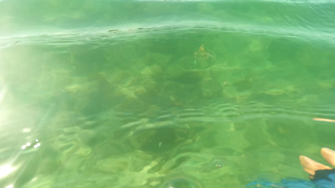 Rippled green water over rocks with bright surface glare.