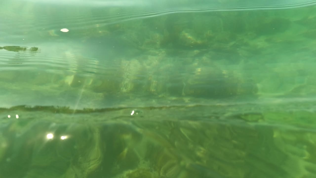 San Jose del Cabo underwater frame with a snorkeler's foot and blue fin entering from the right above green water and a rocky seabed, with no face visible.