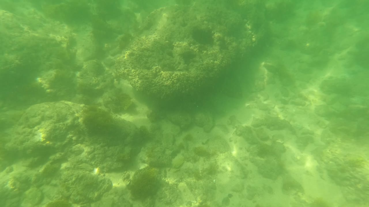 Green underwater view of rocky seabed and algae