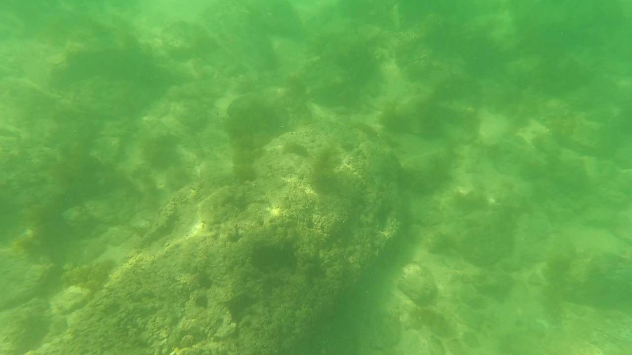 San Jose Del Cabo underwater frame with clustered rocks, algae growth, pale sand, and green water tint with no visible people.