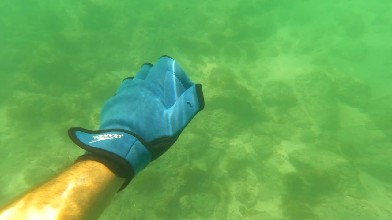 Underwater San Jose Del Cabo frame where a blue-gloved diver hand enters from the right above the rocky seabed and green water.