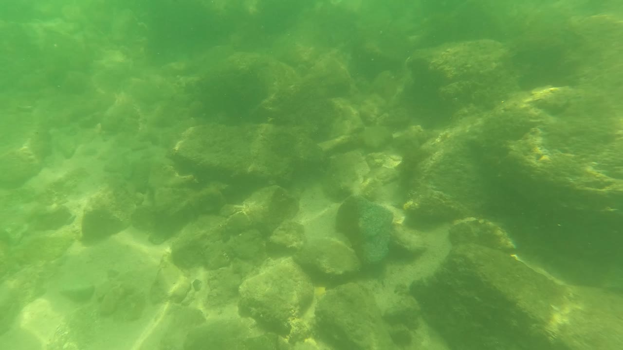 Underwater frame from San Jose Del Cabo showing larger algae-coated stones across the upper area and smaller pebbles below, no visible people.