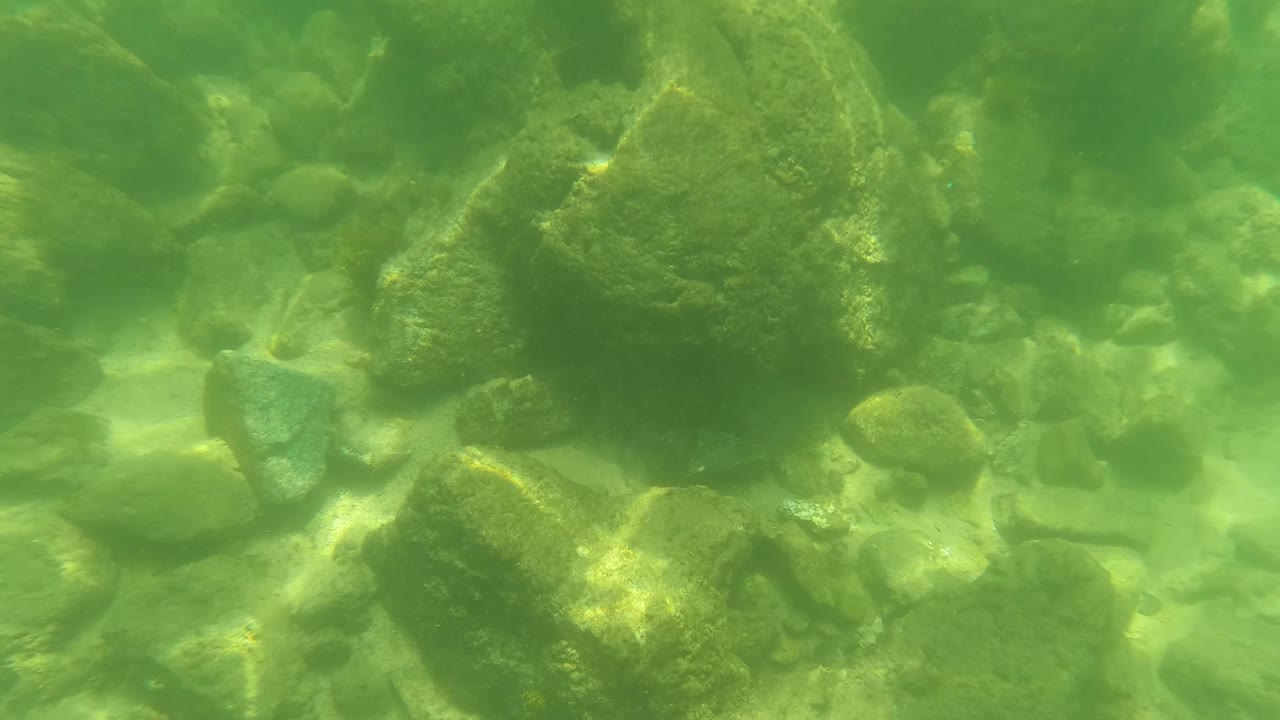 San Jose Del Cabo underwater view with an uneven rocky bottom, scattered pebbles, and soft green water haze, no visible people.