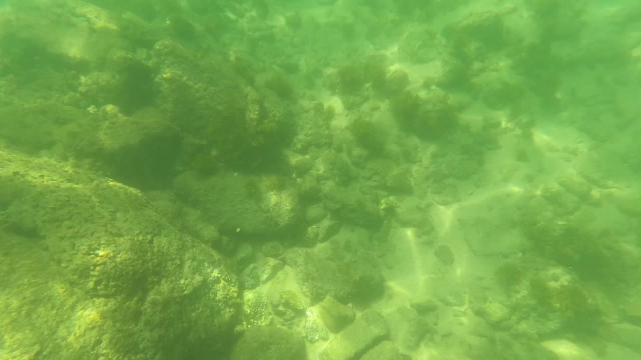 Underwater frame in San Jose Del Cabo with a prominent large rock at lower left, smaller stones across the bed, and no visible people.