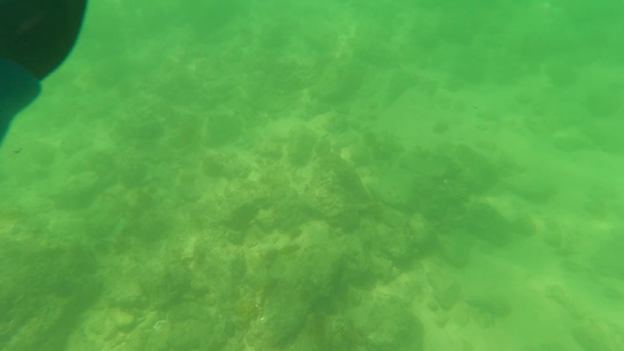 Submerged view of a green-tinted rocky seabed in San Jose Del Cabo, Mexico, with sand patches and darker marine growth visible below the water.