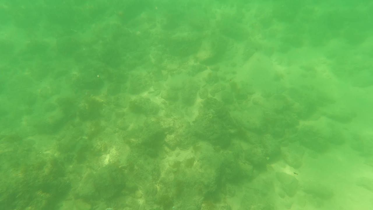 Upward underwater view in San Jose Del Cabo, Mexico, looking toward a rippled green water surface with bright reflected light and soft blur.