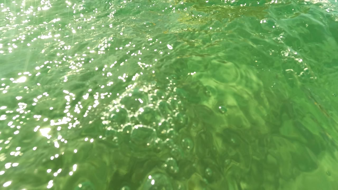 Blue-gloved hand reaching toward underwater rocks