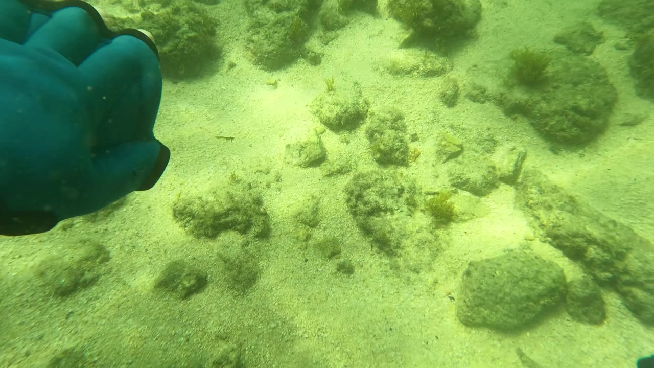 Blue diving glove above sandy rocks underwater