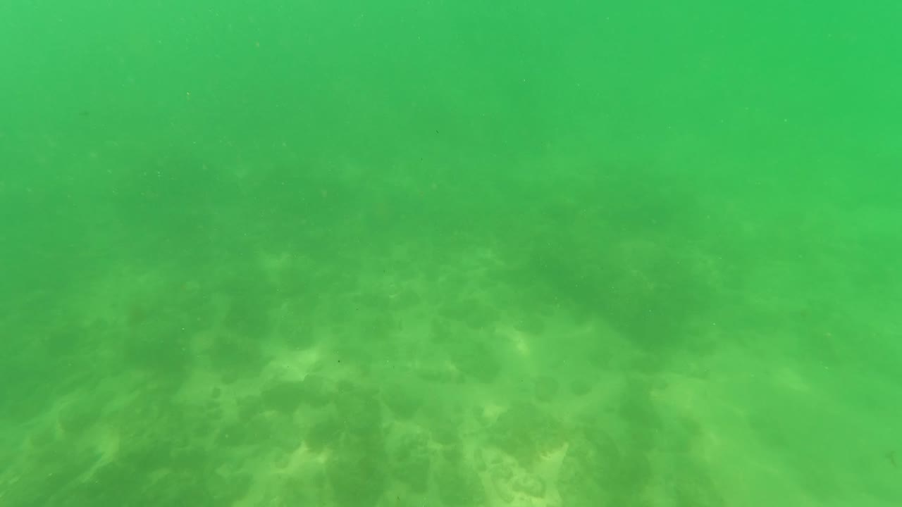 Green underwater view of rocks and sandy seabed
