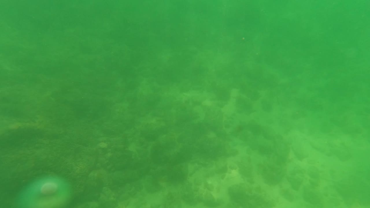 A closer underwater frame shows rocks and a marine-covered submerged form in green water off San Jose Del Cabo, with no visible people.