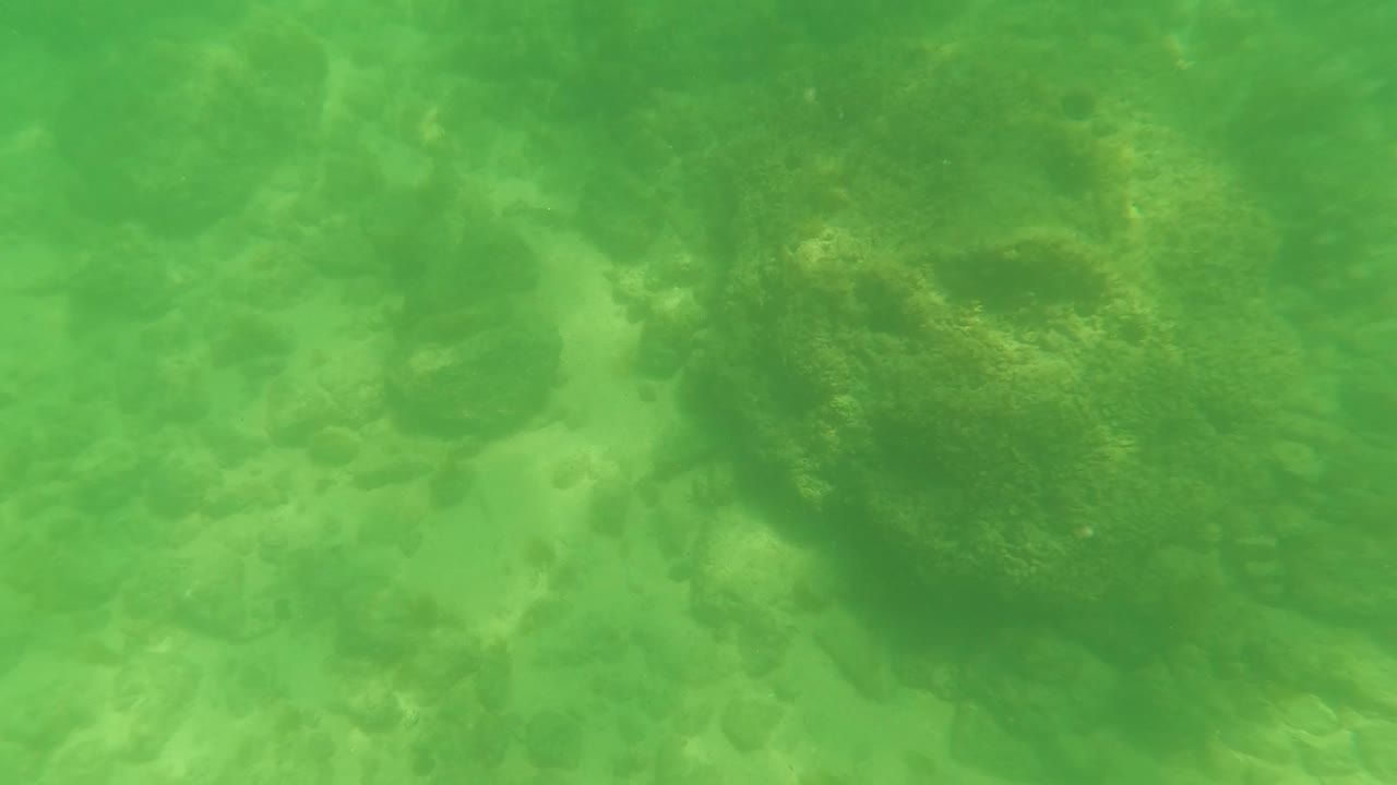A split-level view begins as green underwater rocks sit below a bright rippled surface line in San Jose Del Cabo, with no visible people.