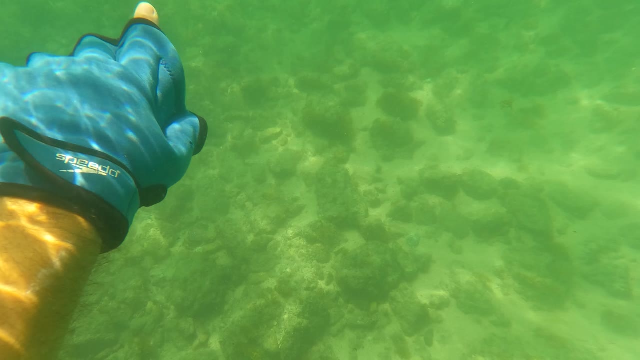 Blue gloved hand and forearm enter the upper left of green shallow ocean water over a rocky sandy seabed in San Jose Del Cabo, with no visible people.
