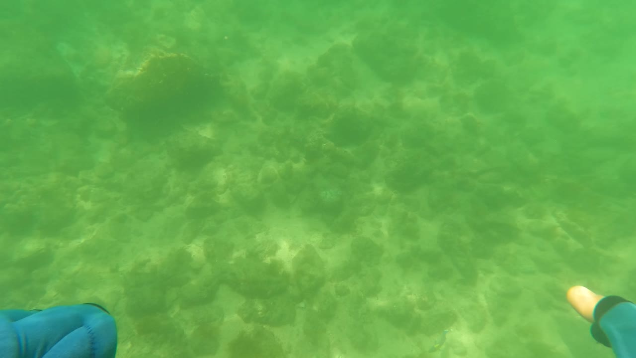 Mostly open green shallow water reveals the rocky seabed below, with only a small edge of the blue glove at the right in San Jose Del Cabo and no visible people.