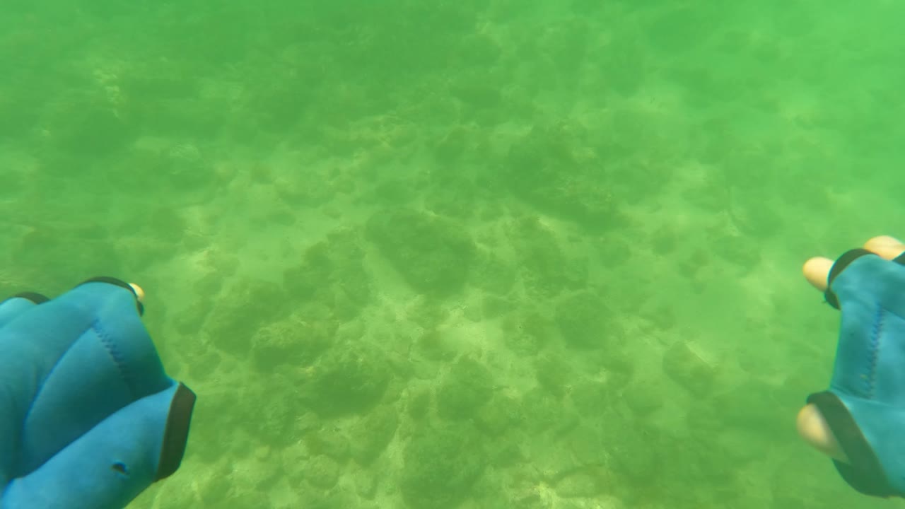 A blue glove appears partly cropped at the lower left as green water and a rocky sandy seabed fill the rest of the San Jose Del Cabo frame, with no visible people.