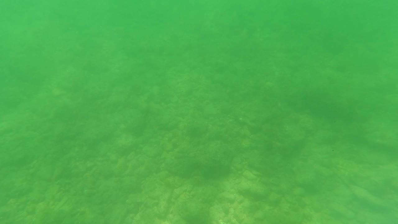 Opening underwater frame in San Jose Del Cabo showing green water over a textured sandy and rocky seabed with no visible people.